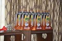Lovely Triple Platinum Disc Function